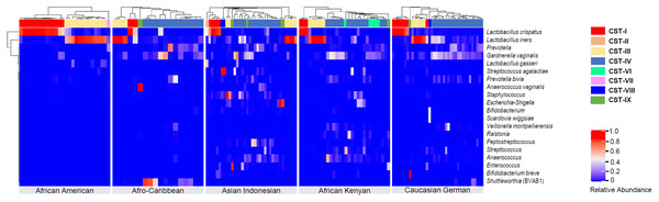 Heatmap displaying the relative abundance of the top 20 bacterial taxa within the vaginal microbiomes of five ethnic groups (African American, Afro-Caribbean, Asian Indonesian, African Kenyan and Caucasian German).