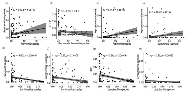 (A–H) Spearman (rs) and Pearson (r) correlation plots showing the general theoretical relationship between facultative anaerobes (Lactobacillus species), obligate anaerobes (Gardnerella and Prevotella spp.) and THPP in the vaginal microbiome of the ethnic groups.