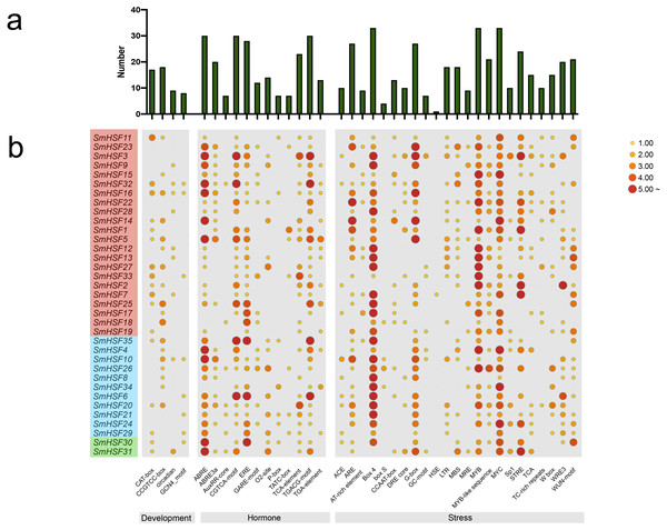 Analysis of the cis-acting elements in the promoter regions of the SmHSF genes.