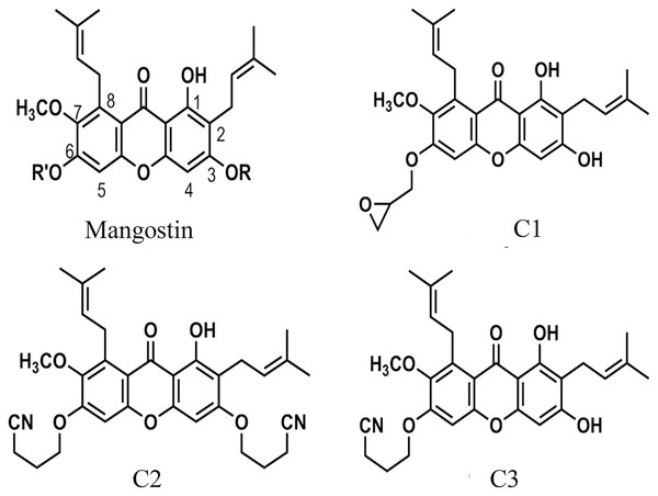 The chemical structures of semi-synthetic mangostin derivatives.