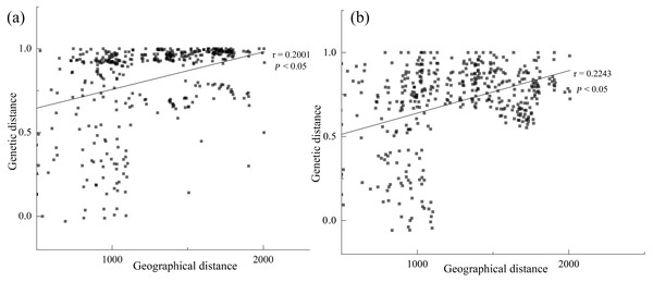 Significant relationship between geographic and genetic distance based on cpDNA (A) and nDNA (B) for Haloxylon ammodendron.