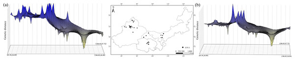 Spatial genetic landscape shapes constructed by interpolation analysis based on cpDNA (A) and nDNA (B) for Haloxylon ammodendron.