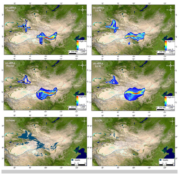 The extent of climate change for Haloxylon ammodendron since the Last Glacial Maximum (LGM).