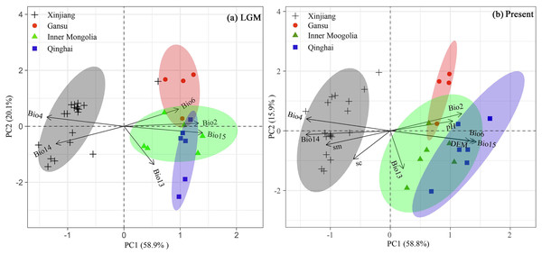 Bioplots of the first two principal components of the principal component analysis of six climate variables for LGM, six climate variables, three soil variables and 1 DEM for present of Haloxylon ammodendron populations from the (A) LGM to (B) Present periods.