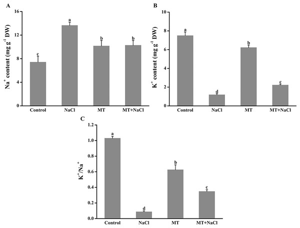 To evaluate the effects of melatonin on K+ retention under saline conditions, NaCl-induced ion contents in algal cells were detected.