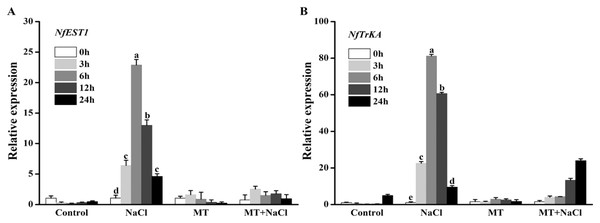 To explore the effects of melatonin on the expression of genes related to osmotic responsive and K+ channels under salt stress, we determined the expression levels of NfEST1 and NfTrKA.