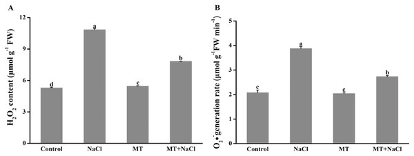 To investigate the role of melatonin in inhibiting ROS overproduction under salt stress, we determined the formation of H2O2 and O2•− in algal cells.