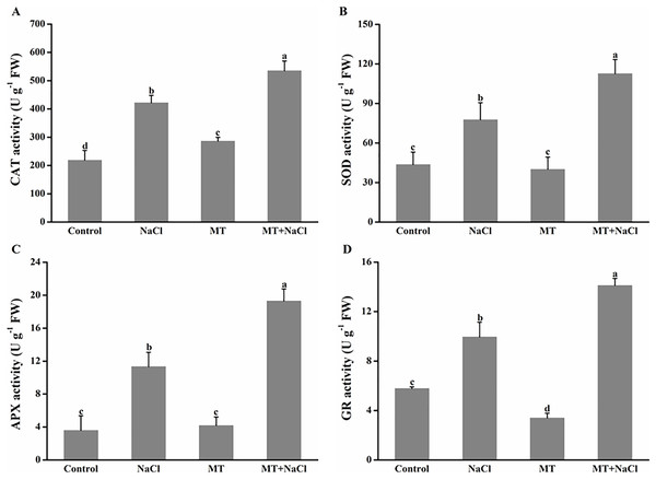 To further assess the mechanism of melatonin in improving salt tolerance of algal cells, we examined the changes in antioxidant enzymes activities.