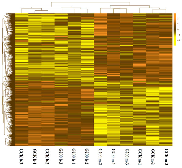 A heatmap showing the log2 (FoldChange) values of the selenium-responsive DEGs (n = 3) in G. ludium samples.