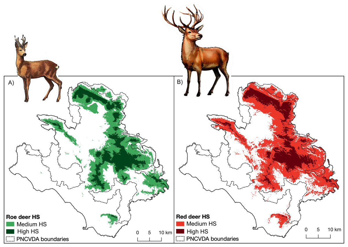 5. The Survival Strategies of European Wild Deer: Insights from Various Regions