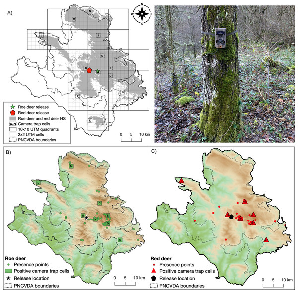 Camera trap locations and Species occurrences.