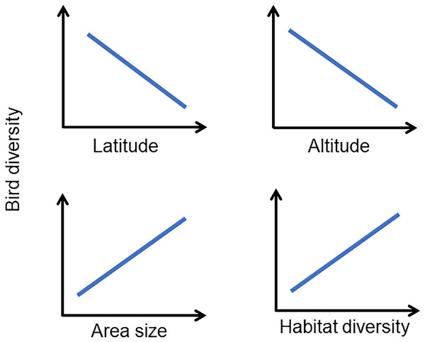 Conceptual schematic diagram showing the main hypotheses explaining bird diversity in urban green areas of the Neotropics.