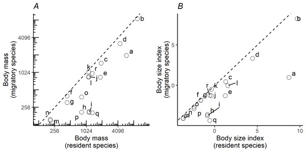 Pairwise comparisons of body mass and body size.