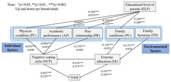 Path diagram for the path analysis modeling of NSSI in gender difference.