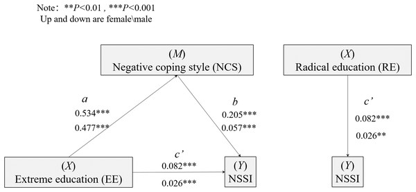 The mediating model of negative coping style (NCS) in the relationship between RE and NSSI.