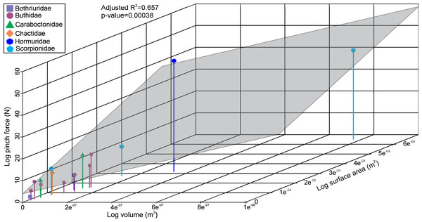 3D scatterplot of the relationship between scorpion pinch force and muscle volume and surface.