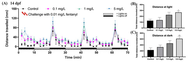 Behavioral sensitization after re-exposure to 0.01 mg/L fentanyl at 14 dpf.