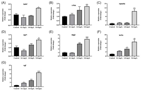 Relative mRNA expression levels of neurodevelopmental marker genes in zebrafish at 5 dpf after fentanyl exposure.