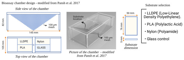 Design of the bioassay chamber and the substrates selected to compare the settlement of invasive species larvae.