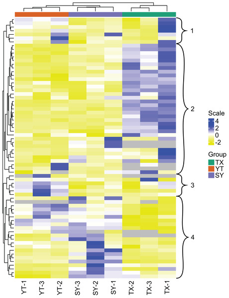Clustering heatmap display of all of the detected flavonoid metabolites.