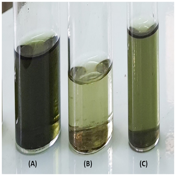 Extracted lipid samples by CPAA (A), CPHA (B), and CPTFA (C).