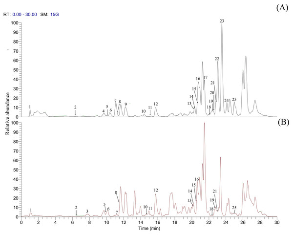 Base peak chromatogram of the metabolites detected using UHPLC-Q-Exactive Orbitrap HRMS.