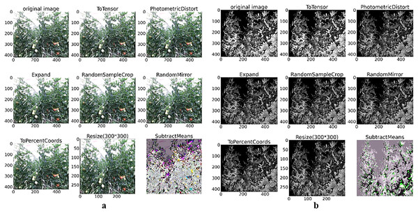 Color and depth image data augmentation of tomato plant.
