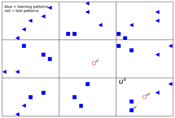 The example of a 2D defined neighborhood for computing the network response for a given pattern ui.