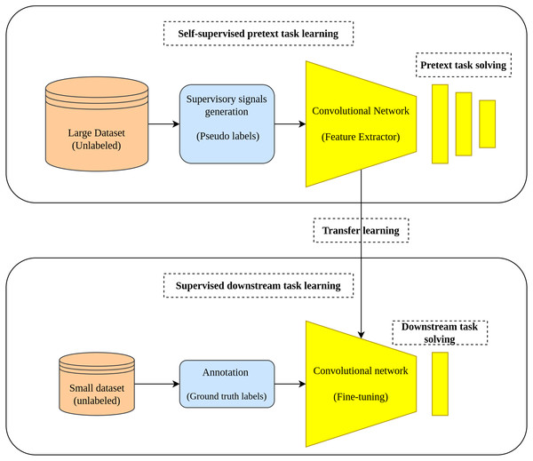 Self-supervised learning main workflow.