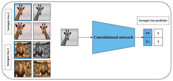 Illustration of the generation of surrogate classes for self-supervised features’ learning with exemplar CNN.