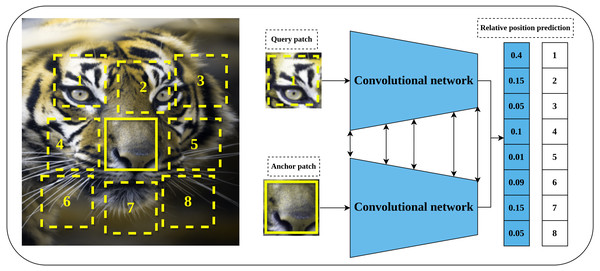 Illustration of self-supervised learning by relative position prediction task.