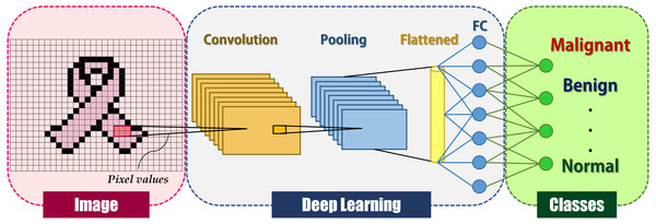 General deep learning architecture for image classification.