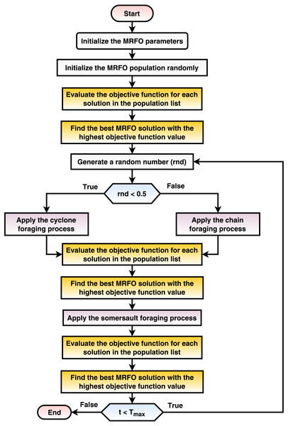 A flowchart summarization of the MRFO steps.