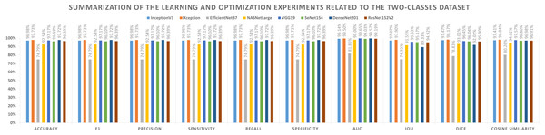 Summarization of the learning and optimization experiments related to the two-classes dataset.