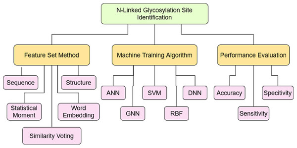 Taxonomy of N-Linked site identification perspective.