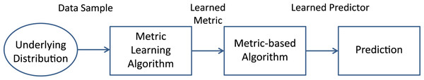 Scheme of the common process in Metric Learning.