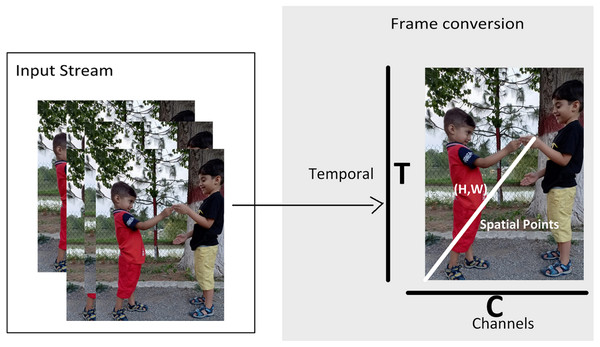 Video representation in terms of multidimensional array.