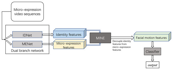 The proposed methodology and experimental design.