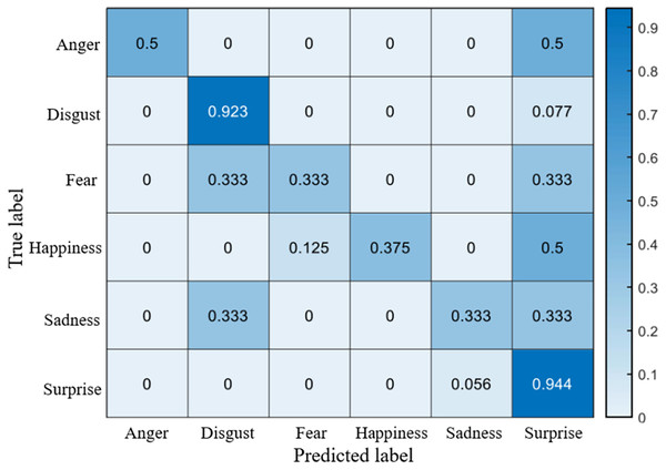 Confusion matrix on the MMEW dataset.