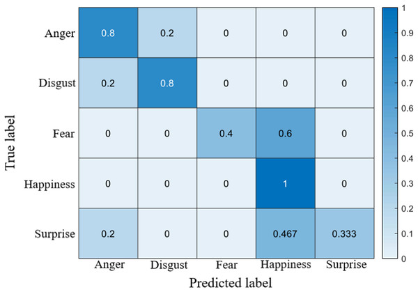 Confusion matrix on the SAMM dataset.