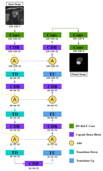 The illustration shows the NCDN architecture used for ACDC segmentation tasks, the output image consists of four feature maps that represent background, RV, MYO, and LV, respectively.