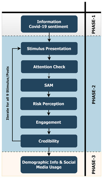 Diagram representing the process of taking the survey.