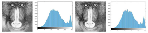 (A) Cover image of baboon, (B) histogram of baboon cover image, (C) baboon stego image, (D) histogram of baboon stego image.