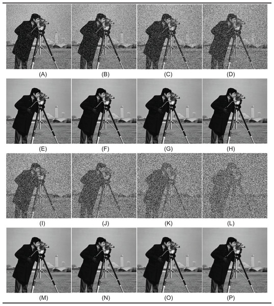 Denoising results by proposed method (NVBMF) on Cameraman image.