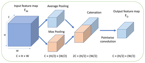Fused max-average pooling (FMAPooling).