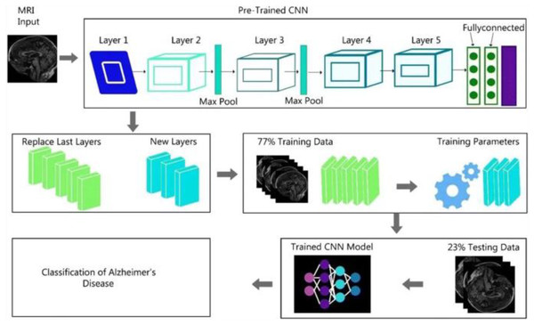 CNN algorithm architecture.