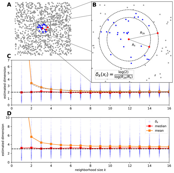 The estimation procedure of manifold-adaptive Farahmand-Szepesvári-Audibert intrinsic dimension estimator.