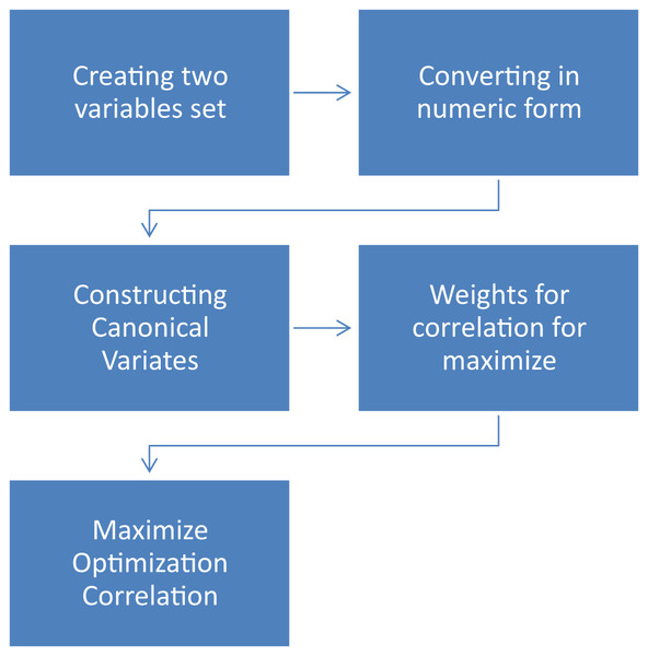 Canonical correlation process.