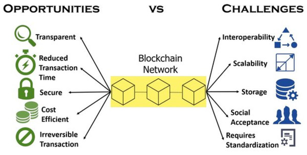 Advantages and challenges related to the application of blockchain.