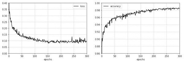 Loss and accuracy curve of the CGRU model.